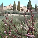 Vendégház All'ombra Di San Damiano 4*