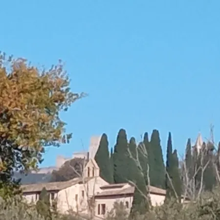 All'ombra Di San Damiano Assisi