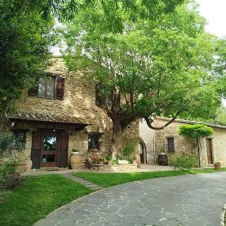 All'ombra Di San Damiano Penzion 3*