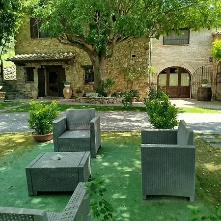 All'ombra Di San Damiano