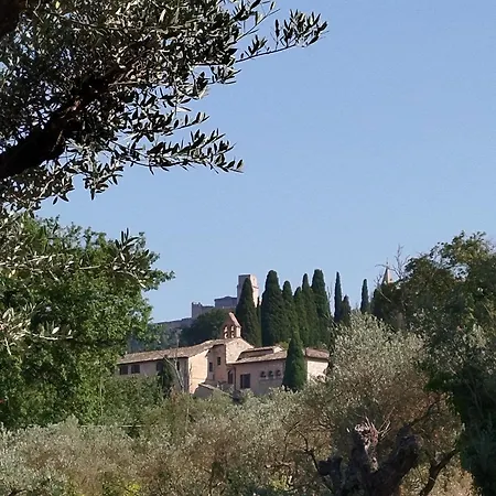 All'ombra Di San Damiano