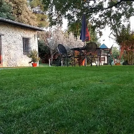 All'ombra Di San Damiano