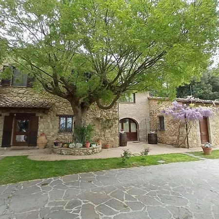 All'ombra Di San Damiano Pensión