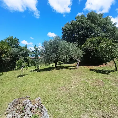 All'ombra Di San Damiano 3* Asís