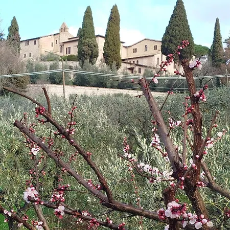Pensionat All'ombra Di San Damiano 3*