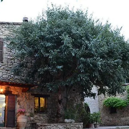 Konukevi All'ombra Di San Damiano