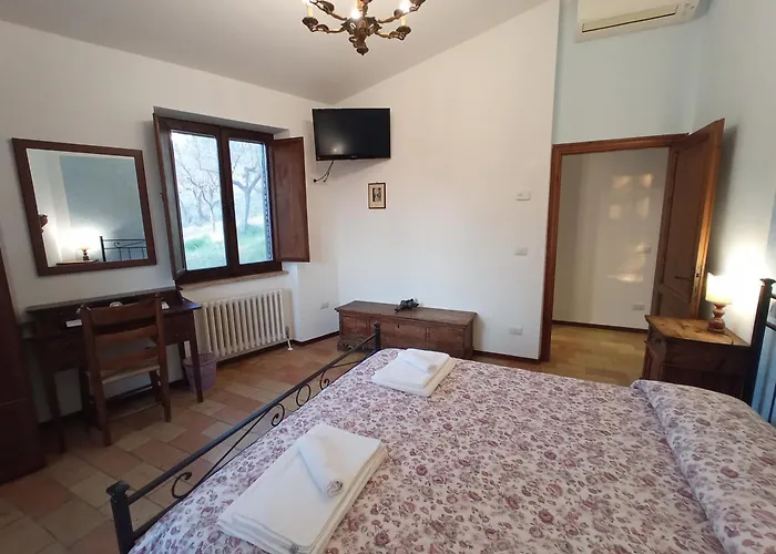 All'ombra Di San Damiano Assisi